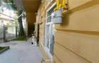 APARTAMENT ULTRACENTRAL , PIATA UNIRII, CUZA VODA 70 MP PLUS CURTE - 19