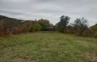 Teren intravilan 2500mp Criscior