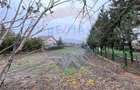 Teren 1427 mp - de vanzare in Mihailesti langa lac Arges - 6