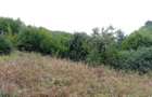 Proprietar-Vand doua terenuri, unul de 7.100 mp, celalalt de 25.000 m2 - 7