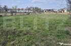 Teren intravilan de vanzare, 1399 mp, in localitatea Micula - 6