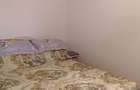Apartament 2 camere, MIhai Bravu (ID:T505) - 2