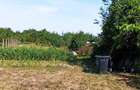 Casă cu 1 camere cu Teren 962 Mp în Chișirid - 2