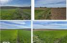 Teren extravilan cota parte 1/4, Corni, ID: R3128955 - 4