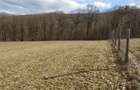 Vand 4000 mp teren la Marcus - Covasna, langa Brasov, ok pe Lg.17 2014 - 2