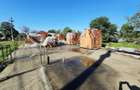 Teren de vanzare in Lapos 1.000 mp cu fundatie casa - 12