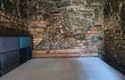 Faleza Nord, P+1, de inchiriat, 1000 euro