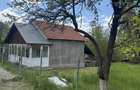 Casa si teren de vanzare, Cepari, Arges - 4