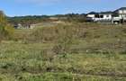 Teren Colonia Valea Fanatelor - 1
