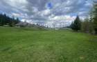 55.000 MP IN INIMA NATURII DIN BUCOVINA | POTEN?IAL RESORT DE LUX, - 3