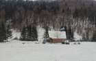 Teren intravilan 9.172 m2 + cabana 30m2 Loc Pintic Paltinu Com. Grinties - 8