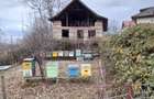 Vand constructie in zona montana ,Corbi ,jud Ag.Facilitati,apa curent ,gaze naturale ,asfalt la poar - 8