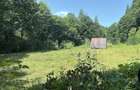 Teren munte, Brates- Tarcau- Piatra Neamt, teren cu o cabanuta - 2