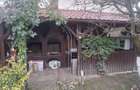 Casa de vanzare in sangiorgiu de mures - 10
