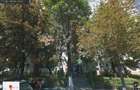 Ghica Tei, PROPRIETAR închiriez garsoniera la etajul 7/10 - 3