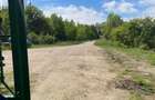 Lacul Snagov | Teren 1000 MP d 24 m la lac | Pozitie excelenta | Gruiu - 1