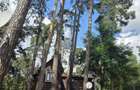 Vila de vacanta cu 6 dormitoare, langa Lacul Nufarul Reci - 3