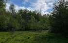 Vand casa ?i terenul aferent de 2 hectare intravilan - 5