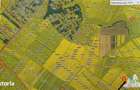 Oferim spre vanzare 6 loturi de teren extravilan (agricol) in Petrachi