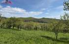 Teren intravilan 8330 mp de vanzare in Inuri Jud Alba