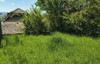 Casa 100 mp , bucatarie de vara , anexe , 550 mp teren Unirea Alba - 2