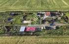 Farmhouse la 14km de Timisoara, teren agricol 1ha - 3