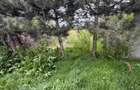 Casa de vanzare ,90 mp constructie ,teren 650mp ,str Rozelor - 2