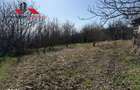 Casa si anexe cu un teren de 7701 mp de vanzare in Stauini Jud Alba - 11