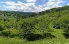 BreazaOcina de SusVila Exclusivista343 mp5000 mp Teren195.000 EUR - 1