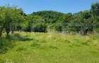Teren intravilan, 2966 mp 3 loturi cu deschidere la DN72A | Malu c - 3