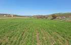 Teren de vanzare, 52600 mp, oportunitate de investitie - 5