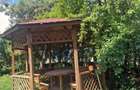 Apartament 2 camere, pet friendly, garaj Gruia - 5