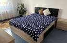 3 camere pet friendly - 5