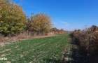 Vand proprietate in sat Bratesti, com. Sirna, jud. Prahova - 11