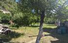 De vanzare casa de locuit sau pentru cazare in Baile Herculane - 6