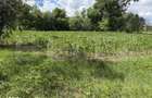 Teren intravilan de vanzare, 3656 mp - Aghires - 1