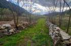Oportunitate Unica de Investi?ie Domeniu de 2,1 Ha in Bucovina (Suceava) - 2