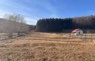 Teren intravilan 4521mp langa padure-valea Doftanei -Calea Brasovului - 12