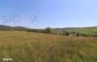 Teren intravilan de vanzare 3.800 mp Babutiu, jud. Cluj - 3