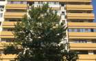 Proprietar | Apartament 2 camere (75 mp) | B-dul Mircea Voda 39H (Timpuri Noi - Unirii) - 1