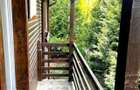 Casa rustica P+M duplex, teren 325 mp, foi?or, Brebu PH 159000 Euro - 4