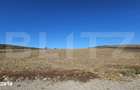Teren extravilan, 17.000 mp, zona Almasu Mic - 3