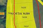 Vand parcele Captalan Vale, judetul Alba - 1