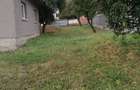 Casa de vanzare + teren 4700 m2 - 2