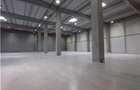Spatiu Industrial - 5300 mp - Logistica - Productie - Depozitare - Distributie - 2