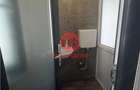 Spa #539;iu Comercial de #206;nchiriat 40 mp - 12
