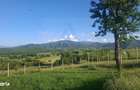 Teren intravilan 809 mp Tropinii Noi langa padurea Dumbrava - 5