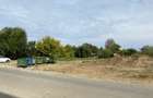 Teren de 3600 mp, în 1 Decembrie - 6