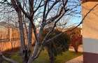 Casa 4 camere de vanzare Ploiesti Albert complet mobilata utilata fini - 13