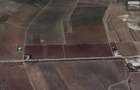 Teren agricol 5 Ha, deschidere 144m, Calugareni,Giurgiu 7 euro/mp+TVA - 4